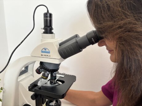 Analýza z živé kapky krve - způsob, jak zjistit skutečné příčiny vašich nemocí