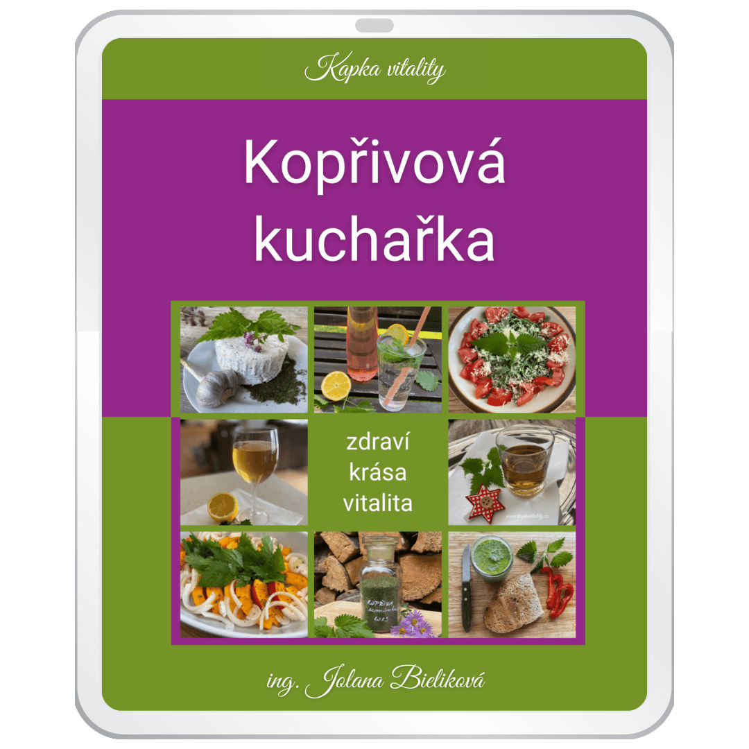 Kopřivová kuchařka - více než 55 receptů pro zdraví, krásu a vitalitu